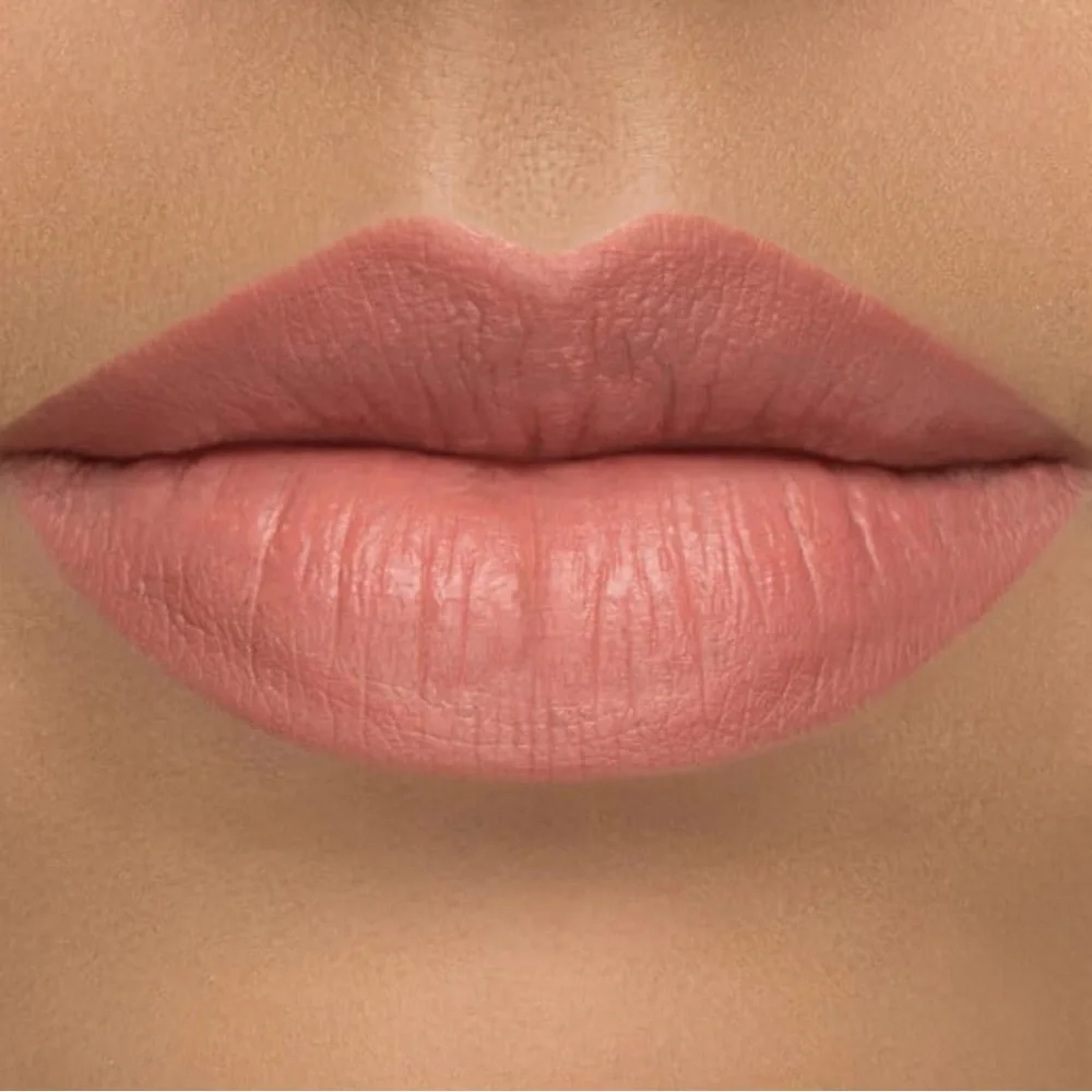 NEW! IL MAKIAGE DIRTY TALK LIPSTICK SILKY-MATTE LIP COLOR IN ELWA